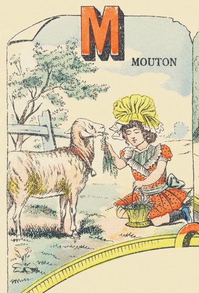 Sheep by French School