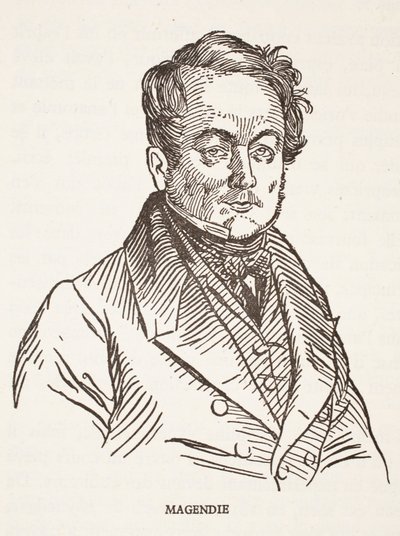 Magendie by French School