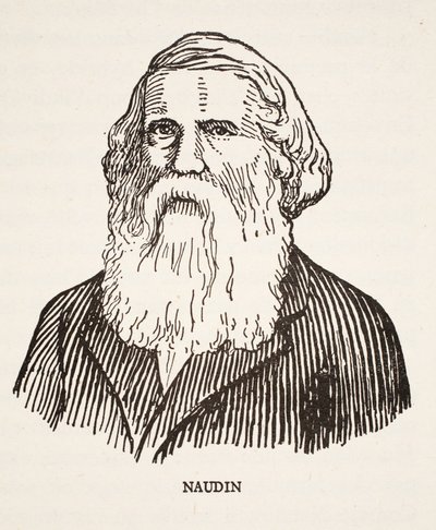Naudin by French School