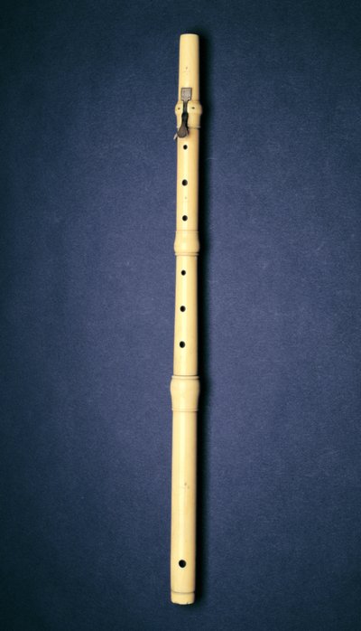 One-Keyed Flute, Made by Naust, Paris by French School