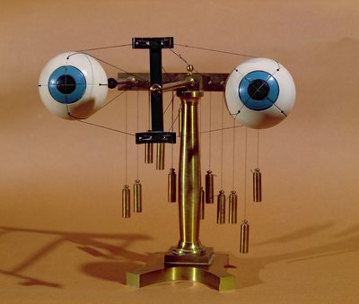 Ophthalmological teaching apparatus by French School