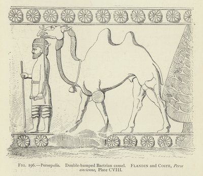 Persepolis, Double-Humped Bactrian Camel by French School