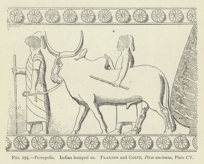 Persepolis, Indian Humped Ox by French School