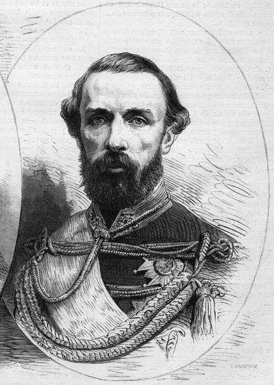 Portrait of Charles XV by French School