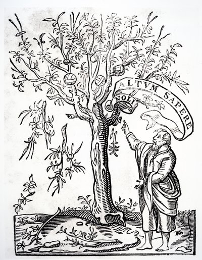 Printers Emblem of Robert Estienne, Paris, 1526 by French School