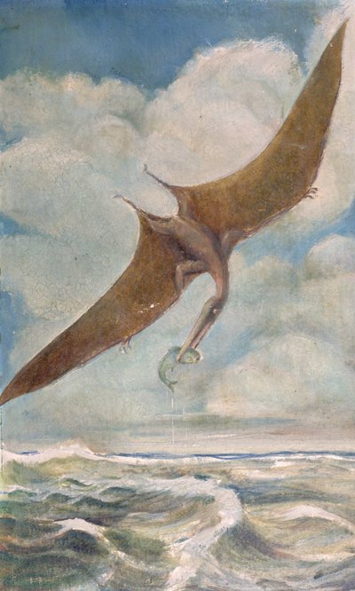 Pterodactyl fishing by French School
