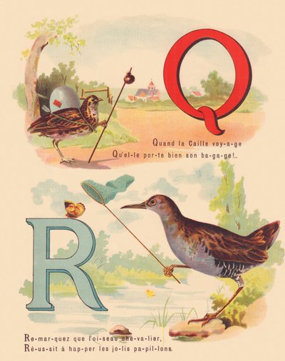 Q: Quail, water rail by French School