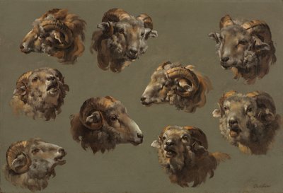 Studies of Ram Heads by French School