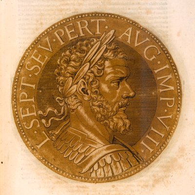 The Emperor Lucius Septimus Severus by French School