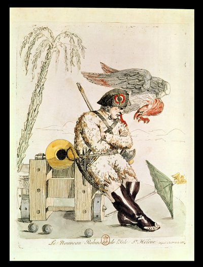 The New Robinson of St. Helena by French School