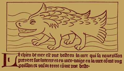 The Sea-Dog by French School