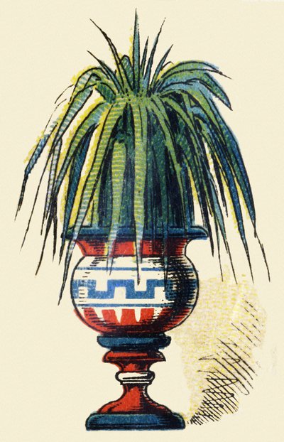 Unknown Image by French School