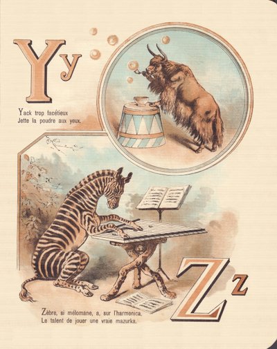 Y Z: Yak, Zebra by French School