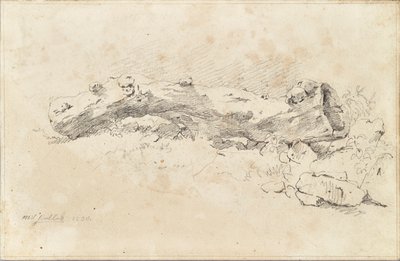 Lying Hollow Tree Trunk by Friedrich August Mathias Gauermann
