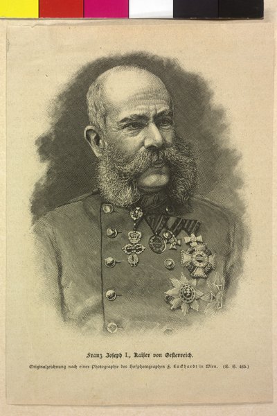 Franz Joseph I by Fritz Luckhardt