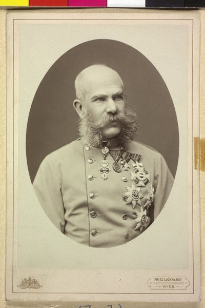 Franz Joseph I by Fritz Luckhardt