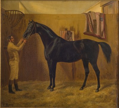 Black Comet by Fritz Thomsen