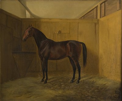 Hersilia by Fritz Thomsen