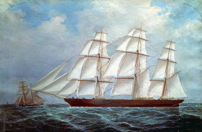 The clipper 