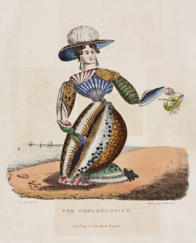 The Conchologist, c.1831 by G. Spratt