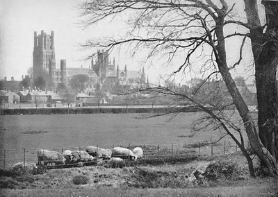 Ely Cathedral by G. W. Wilson and Company