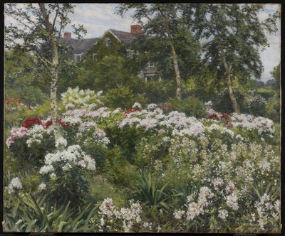 A Garden by Gaines Ruger Donoho