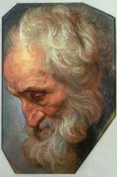 Head of an Apostle by Gaspar De Crayer