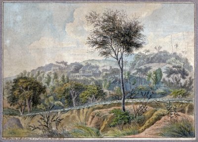 Landscape in La Reunion by Genevieve Sophie Marie Adele Patu de Rosemont