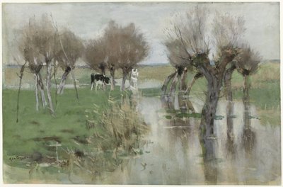 High Water in the Meadow by Geo Poggenbeek