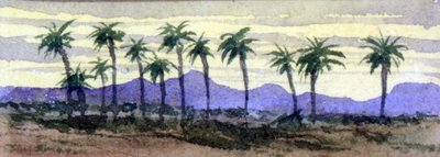 Desert Palms by George Sand