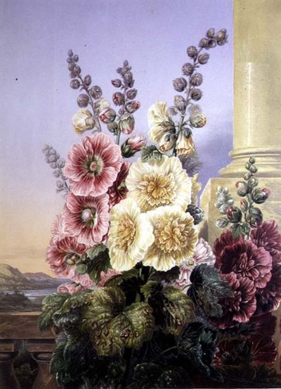 Hollyhocks by George Baxter