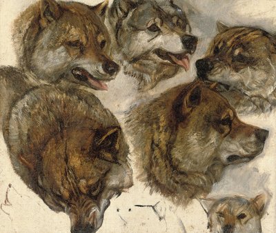 Studies of Huskies