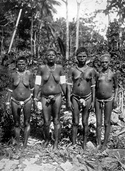 Women in Festival Attire, Melanesia (1920) by George Brown