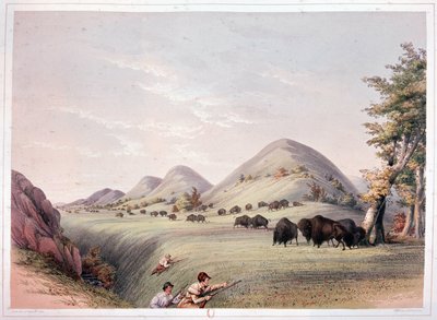 Bison Hunt by George Catlin