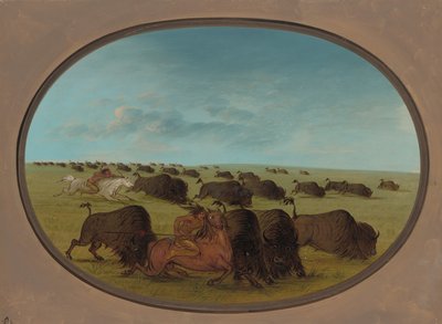 Buffalo Chase, with Accidents by George Catlin