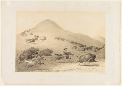 Buffalo Hunt, Chase--no. 6 by George Catlin