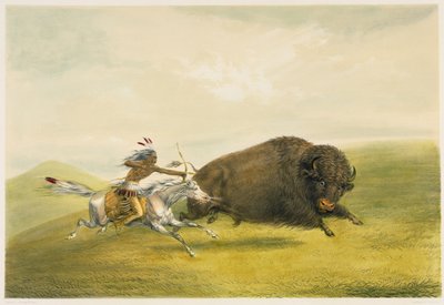 Buffalo Hunt Chase by George Catlin