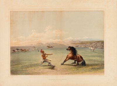 Catching the Wild Horse--no. 4 by George Catlin
