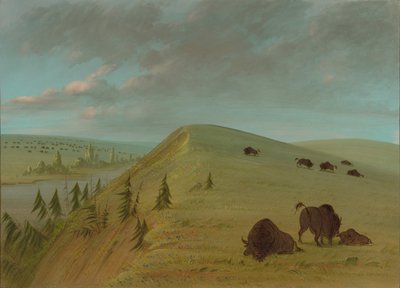 Cedar Bluffs by George Catlin