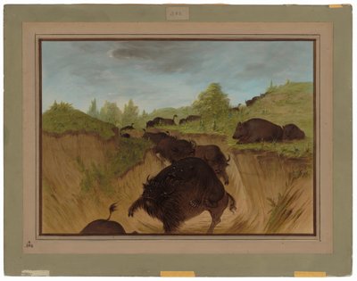 Grizzly Bears Attacking Buffalo by George Catlin