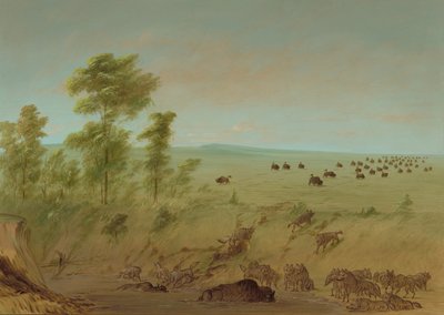 Mired Buffalo and Wolves by George Catlin