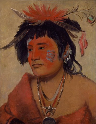 Pah-shee-náu-shaw, a Warrior by George Catlin