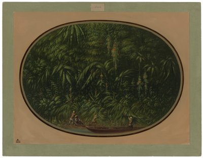 Shore of the Trombetas by George Catlin