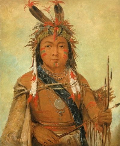 Ud-je-jock, Pelican, a Boy by George Catlin