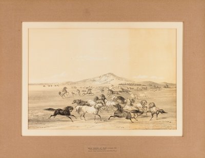 Wild Horses at Play--no. 3 by George Catlin