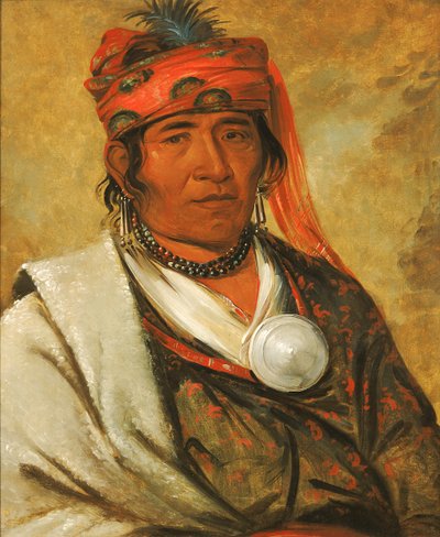 Ye-hów-lo-gee, The Cloud, a Chief by George Catlin