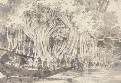 A Pipul Tree by George Chinnery