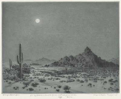 Arizona Night by George Elbert Burr