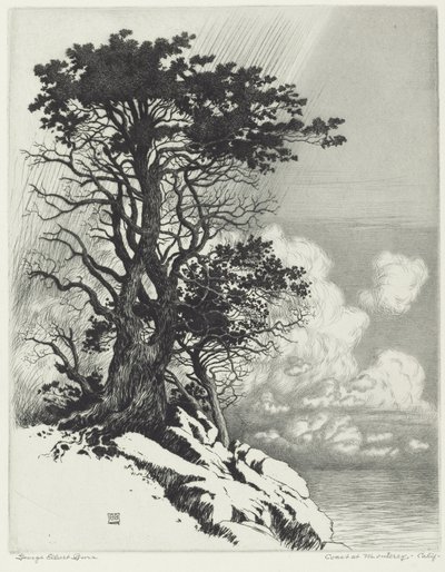Coast at Monterey, California by George Elbert Burr