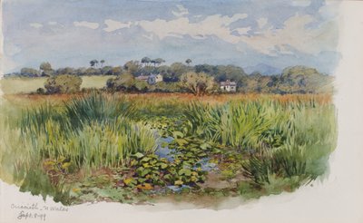 Criccieth, North Wales by George Elbert Burr